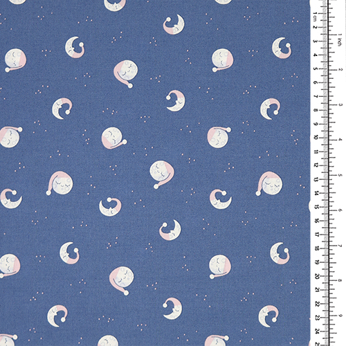 Goodnight Sleepy Moon Twinkle Little Star 1