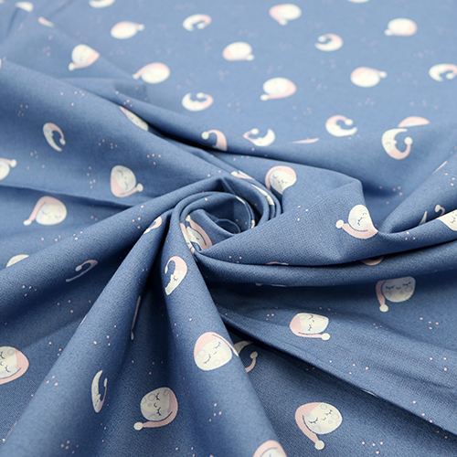Goodnight Sleepy Moon Twinkle Little Star 2
