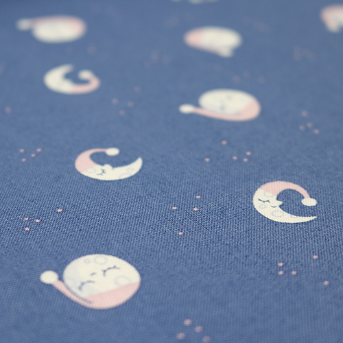 Goodnight Sleepy Moon Twinkle Little Star 5