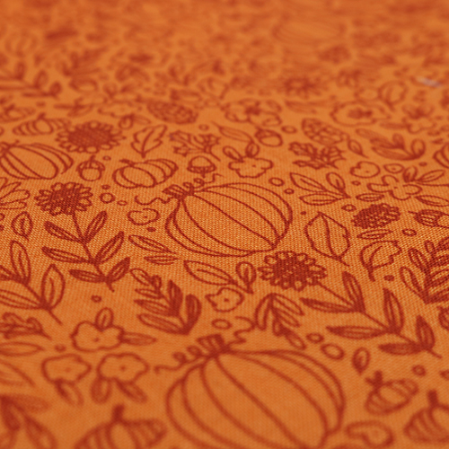 Zucca Arancione Floreale Giorni Felici D’Autunno 5