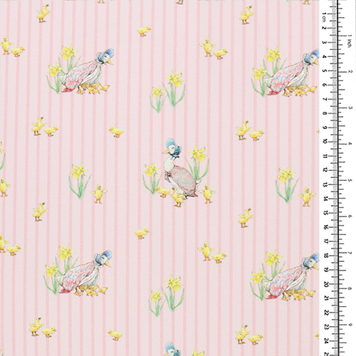 Peter Rabbit & Friends Jemima Puddle-Duck Striscia 1