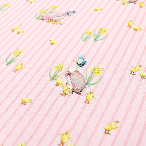 Peter Rabbit & Friends Jemima Puddle-Duck Striscia 4
