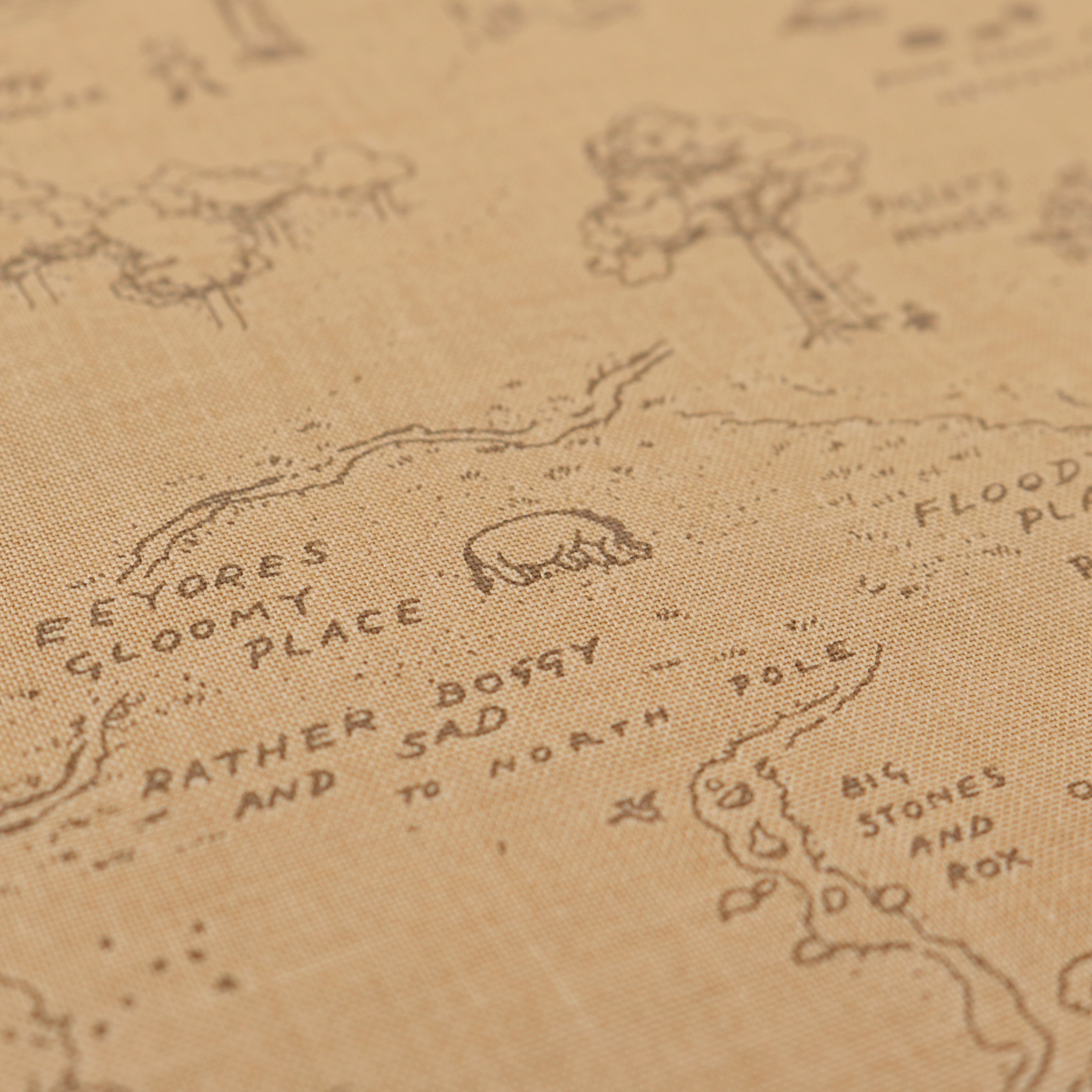 Winnie The Pooh Mappa Del Bosco Dei Cento Acri Marrone 5