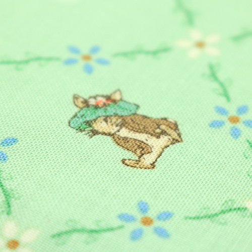 Peter Rabbit Benjamin Bunny Grazioso Reticolo Verde 5