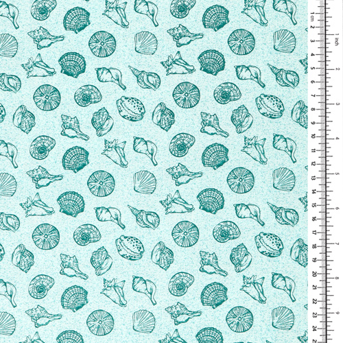 Barriera Oceano Conchiglie Marine Spiaggia Aqua 1