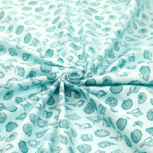 Barriera Oceano Conchiglie Marine Spiaggia Aqua 2