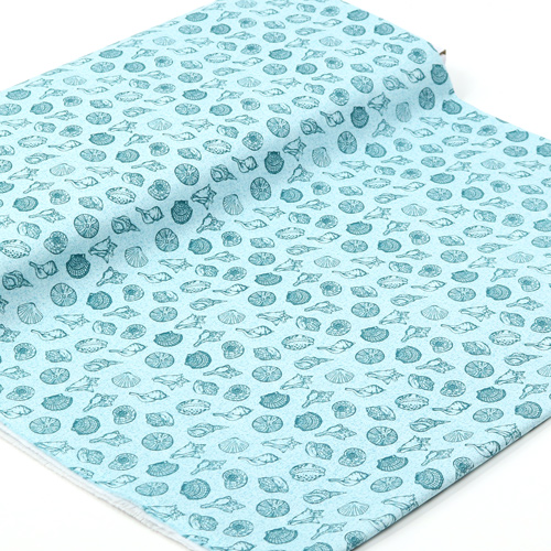 Barriera Oceano Conchiglie Marine Spiaggia Aqua 3