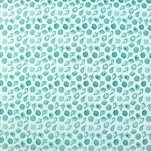 Barriera Oceano Conchiglie Marine Spiaggia Aqua 4