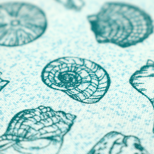 Barriera Oceano Conchiglie Marine Spiaggia Aqua 5