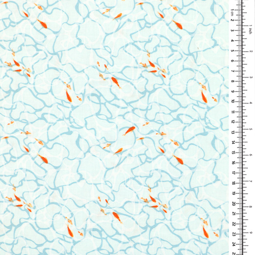 Barriera Fondale Oceano Tropicale Pesce Aqua 1