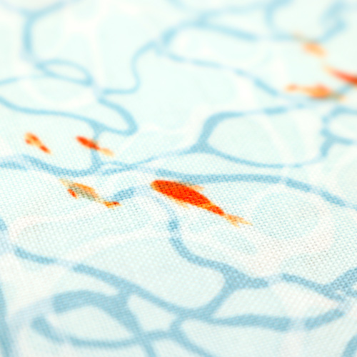 Barriera Fondale Oceano Tropicale Pesce Aqua 5