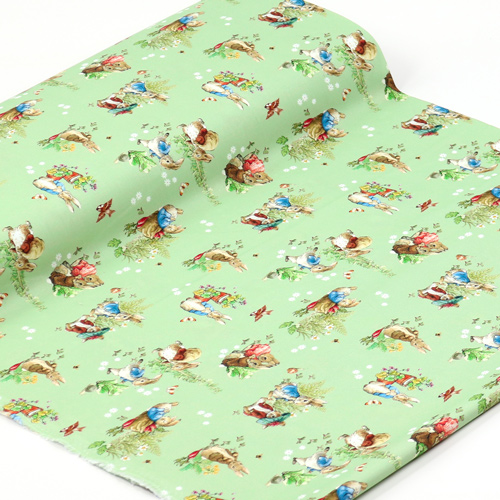 Peter Rabbit Benjamin Bunny Mejores Amigos Verde 3