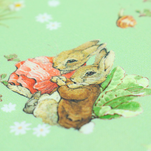 Peter Rabbit Benjamin Bunny Mejores Amigos Verde 5