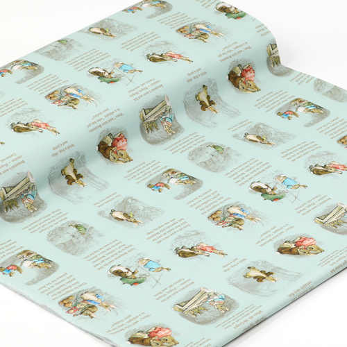 Peter Rabbit Benjamin Bunny Hora Del Cuento Azul 3