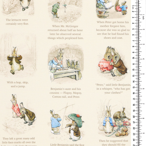 Peter Rabbit Benjamin Bunny Momento Della Storia Crema 1