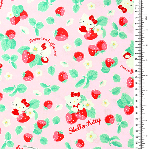Hello Kitty Ichigo Fresa 1