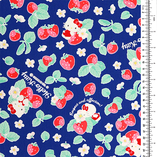 Hello Kitty Ichigo Fraise 1