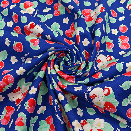 Hello Kitty Ichigo Fraise 2