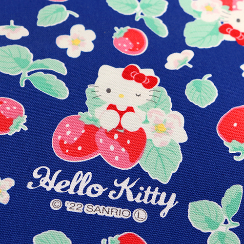 Hello Kitty Ichigo Fraise 5