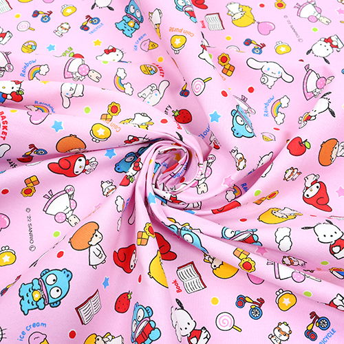 Sanrio Characters Daily Items 2