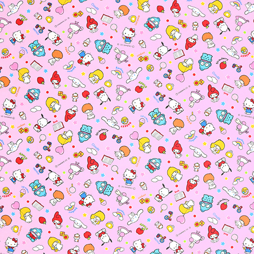 Sanrio Characters Daily Items 4