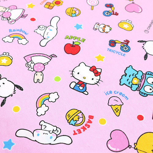 Sanrio Characters Daily Items 5
