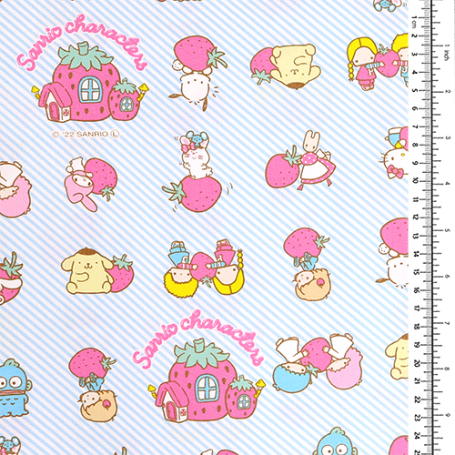 Maison aux Fraises des Personnages Sanrio 1