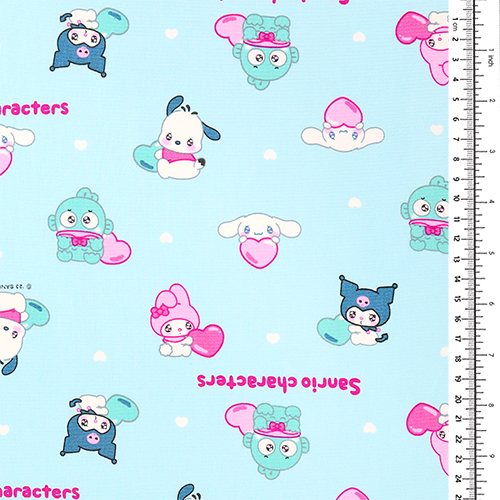 Personnages Sanrio aux Yeux Pétillants 1