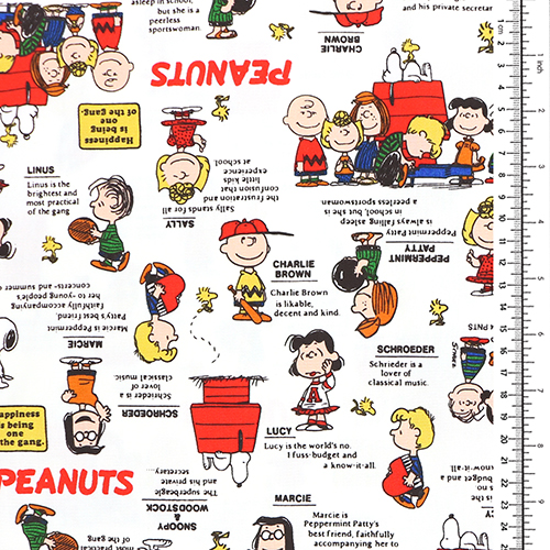 Snoopys Gang 75th Anniversary Classic 1