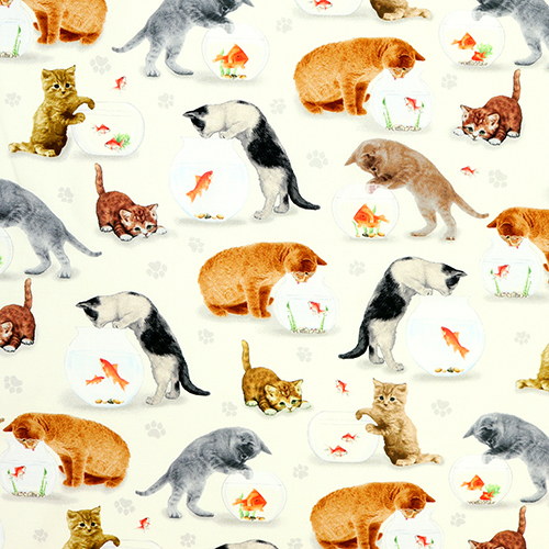 Chats Chatons Bocal À Poisson Rouge