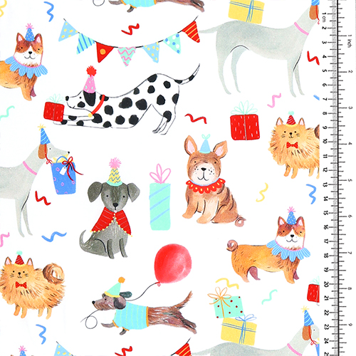 Hunde Geburtstagsfeier Geschenk Feier 1