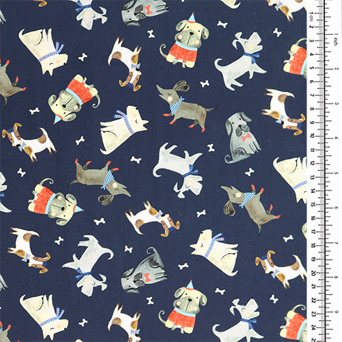 Chiens �parpill�s Amis Poilus Pour Toujours 1