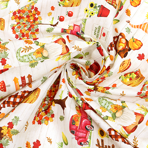 Fall Gnomes Pumpkin Patch Apple Picking 2