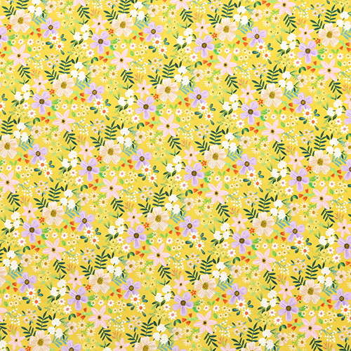 Nähe Blumen Hübsche Blumen Senf