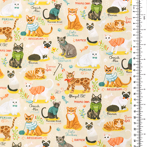 Katzenrassen Spielzeuge Pullover Fische 1