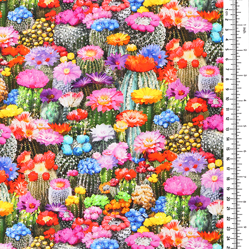 Blühende Blumen Sumpfdotterblume Wüstenkaktus 1