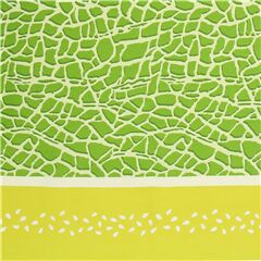 Tissu Oxford en coton vert motif melon double bordure jaune srie fruits Tissu par Kokka