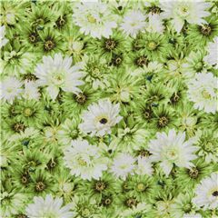 Japan Baumwollhemdenstoff grn Gnseblmchen Blumen Chrysantheme Stoff von Japanese Indie