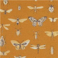 Motte Schmetterling Insekt Entomologie Studie Stoff von Stof France