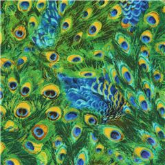 Tissu avec pleins de plumes de paon entasses Tissu par Elizabeth's Studio