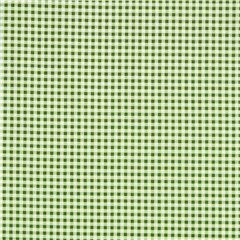 Grn Mini-Karierte Gingham-Muster Stoff von Robert Kaufman