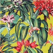 Grandes Feuilles Exotiques Colorées Fleurissent