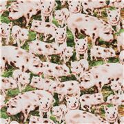 Animal De Ferme Porcelet Cochons