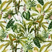 Feuillage Tropical Plantes Feuilles De Palmier
