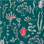 Hidden Garden Sea Dreams Colourful Plants