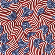 tela con banderas de los EE. UU. America
