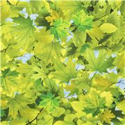 tela de naturaleza con hojas de árbol verdes cielo azul