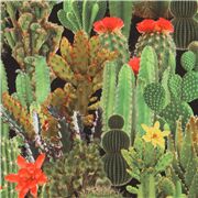 Tissu noir avec des cactus verts, importé du Japon