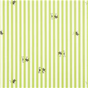 Tissu laminé vert et blanc à rayures avec des petits chats noirs qui se cachent