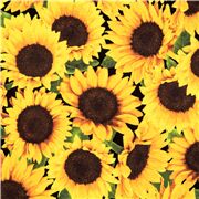 Tissu extra-large minky polyester tournesols jaunes marron